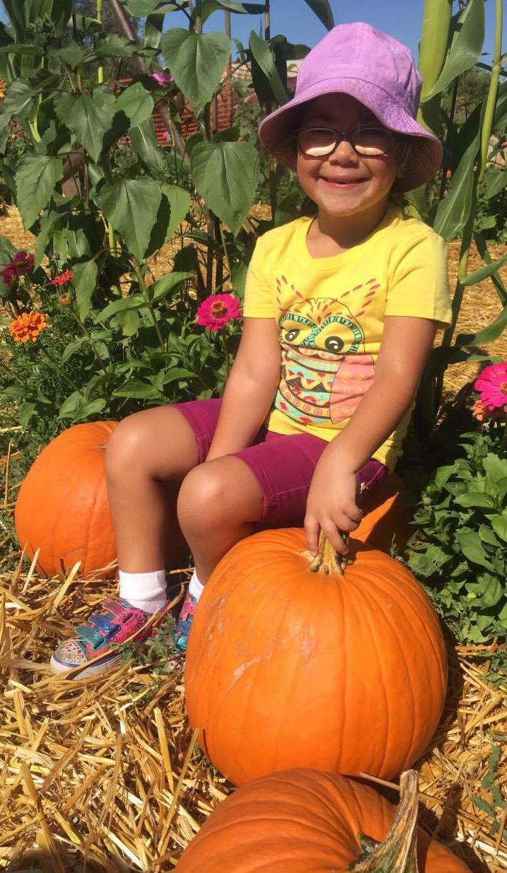 From Our Readers: Picking Pumpkins